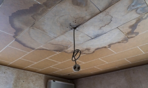 天井に水染みやシミがある様子